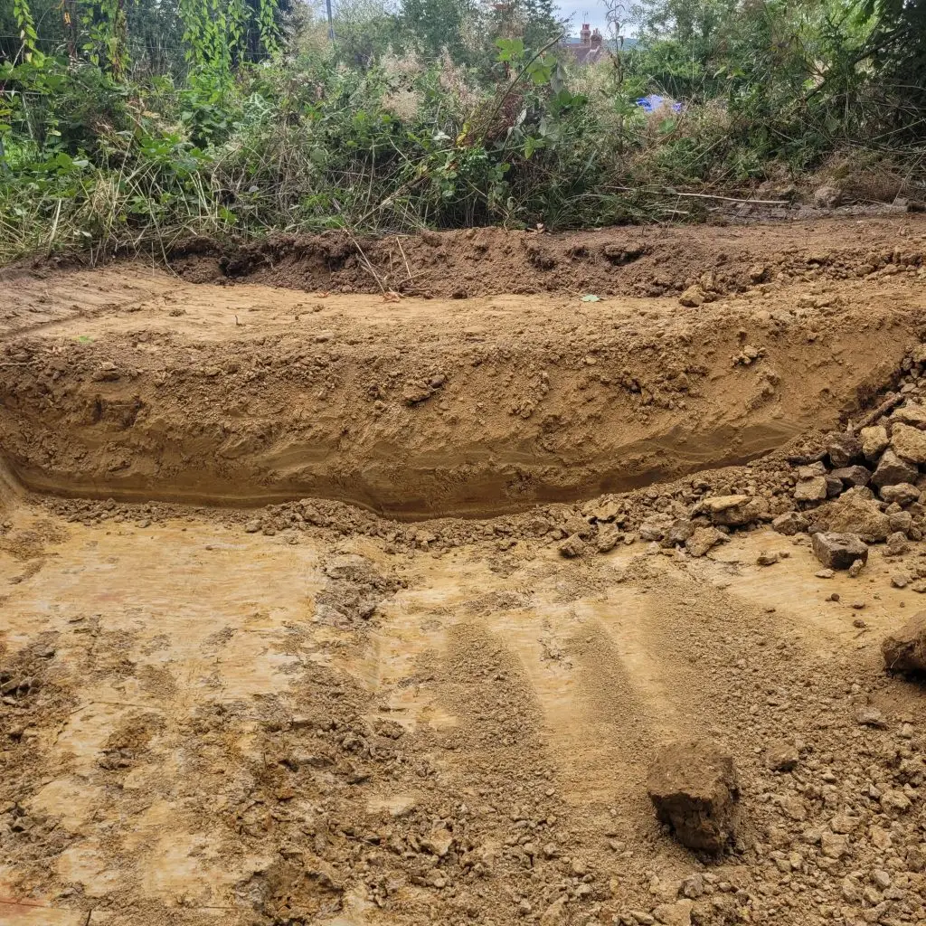 Japanese knotweed excavation