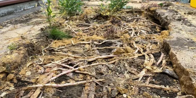 Bamboo runners beneath slab